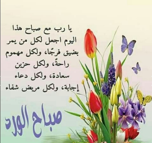 CUAyuhfBq9qpa9k5Or88uXm9QxaNmaMcGNdoM5aWRYA1NaKQxNZZyw==.jpg