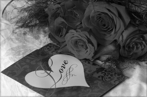 ppI0i1hKsY3BOHoHlmthMWtlpFwU5EHLwrkRX1Uo