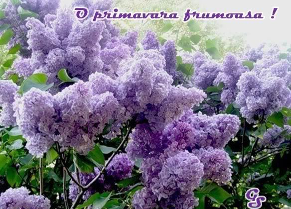 PmtNa460rgLnIgbynVi9SBRphNuZjnvIEMwuWIXp