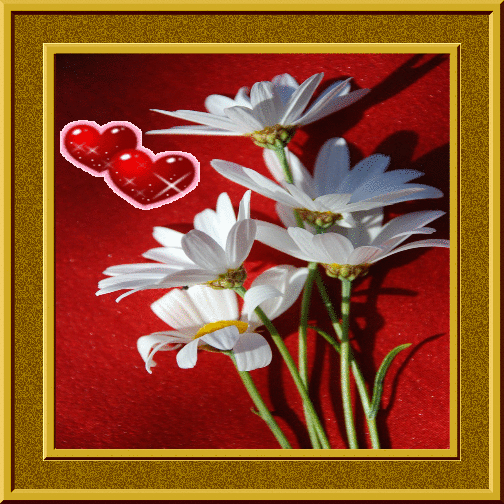 Z16cn0RHMPfADNJ36jIuX8Jql0vzHKydJaaP4q3E