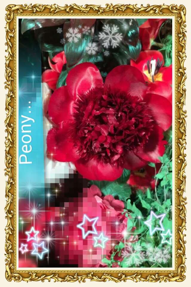 [​IMG]
