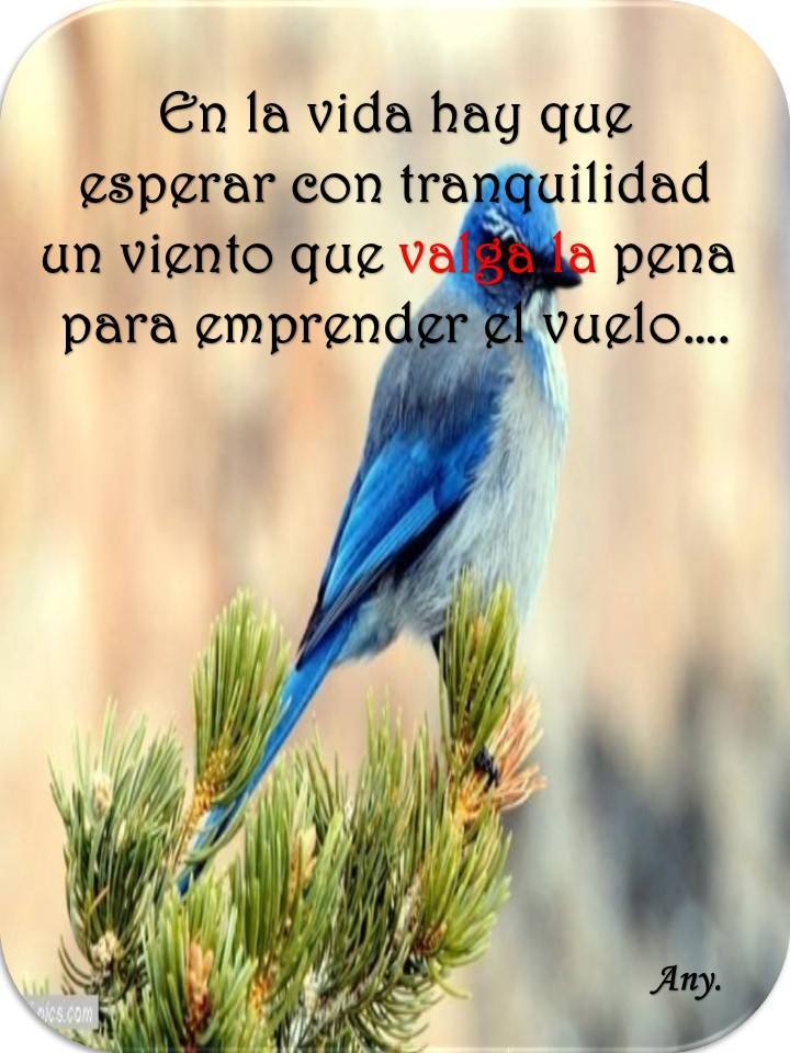 dQLwyjlJQO7iEjfL7_VYS2Y_jGrVzusjIupF40FS