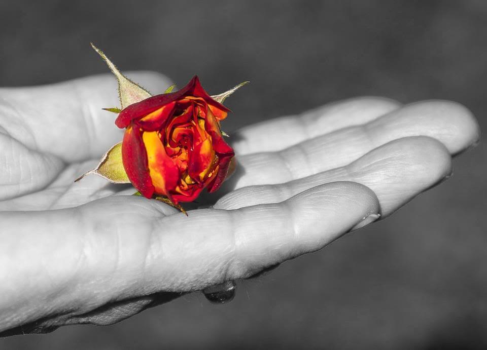 kIozUK1DVHfVna6EF1qL17k14_oaioZZ8mkR5_ys