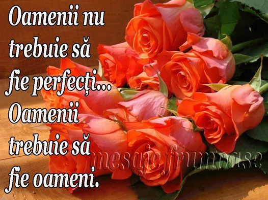 photo 10405570_337168909773243_8890582491630855161_n_zps537963ec.jpg