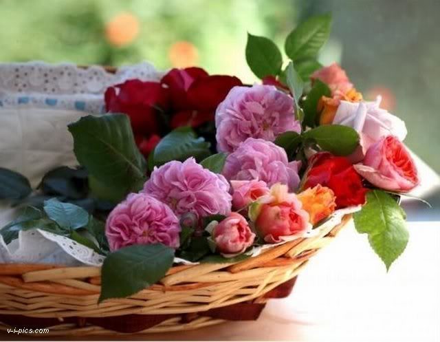 bouquet000901vipics.jpg