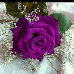 poMcsBD4B8bVyPeY6g3mytfSNposWCtVEs_GoIwhTE6dqWjyi0WXBQnooz98_MlK.jpg