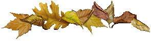 JjuG1TEupf8WFW-UjptZBfzjLHndqrxVpFu_W5loKJZmxxsO6TziUJRz2I8dMMML.gif