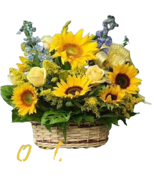 P5taGPkpwndNdWFOj9V1i3t_3rggSJG12_iLc9DGX7M8B5Mj5VeaS0H50f7AMIVY.png